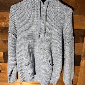 American Eagle Hooded Sweater